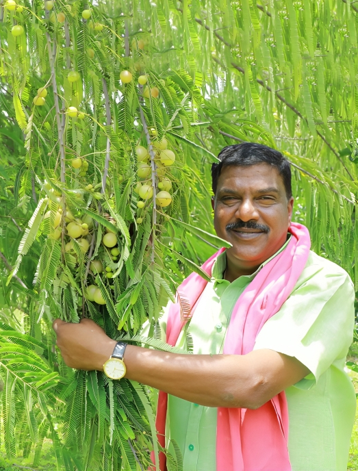 Founder standing near soapnut tree